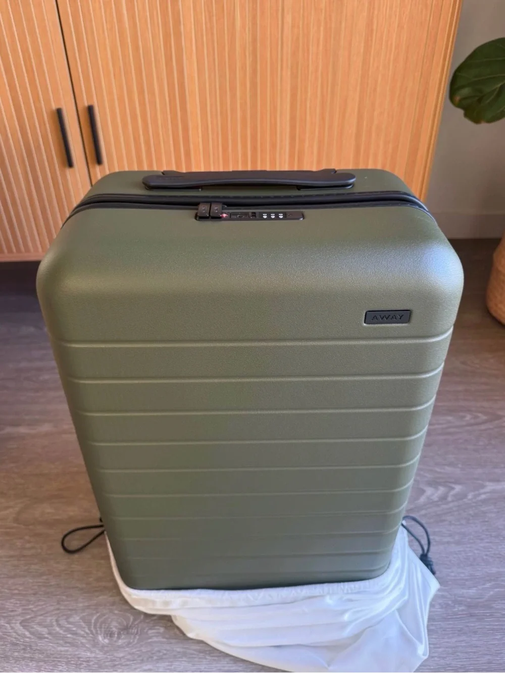 BRAND NEW Away Olive Green Spinner Carry-On
